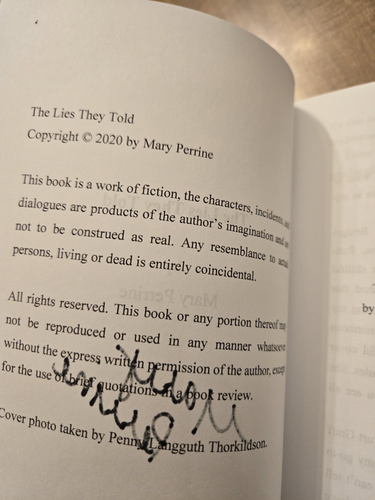 The Lies They Told by Mary Perrine Minnesota Mystery Signed By The Author PB