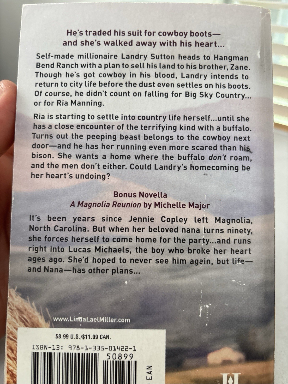 Lot of 10 – Western Romance – Mixed Authors – Paperback – Free Shipping