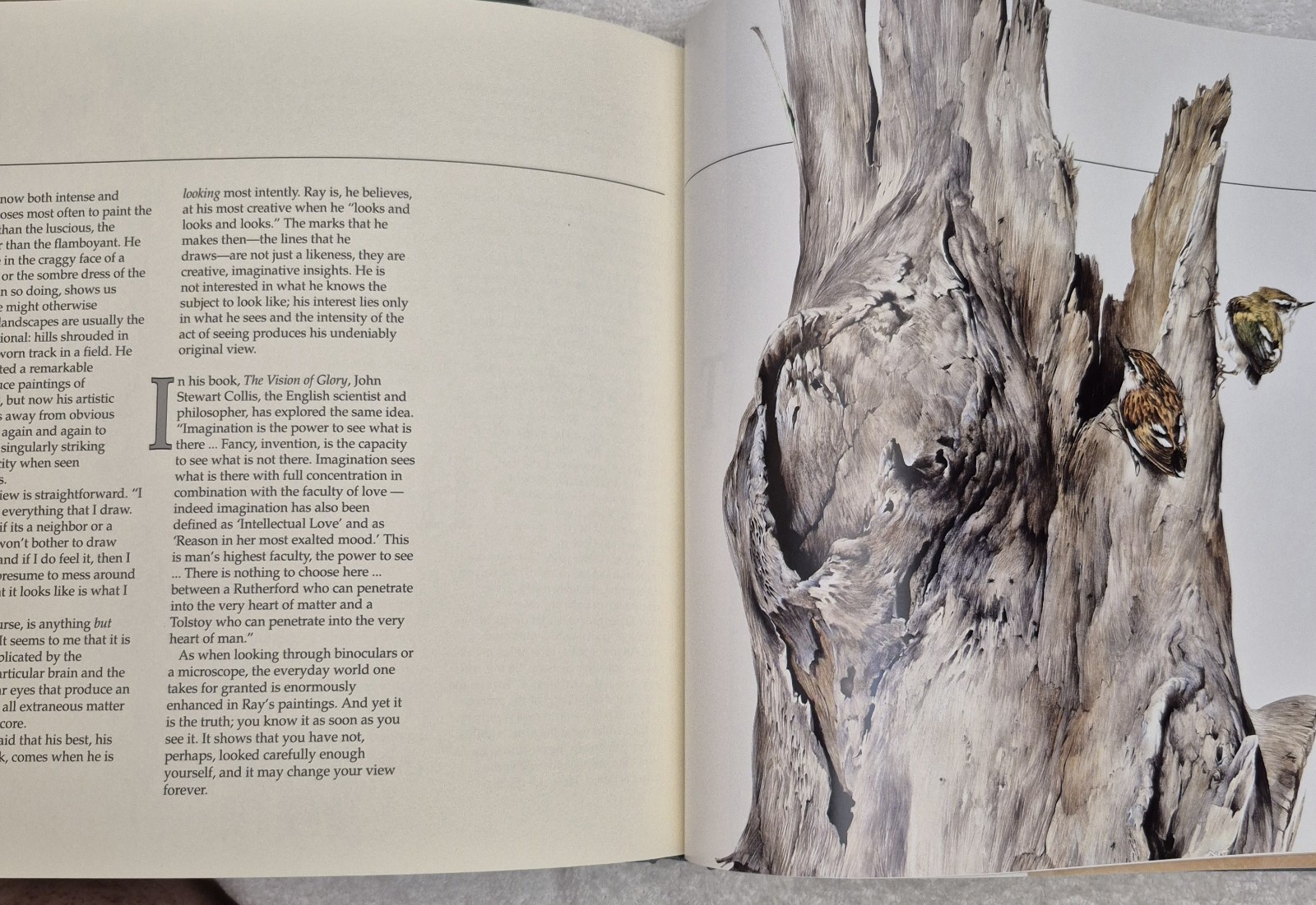 Ray Harris‑Ching • Masters of the Wild (1990 HC) • Wildlife Art