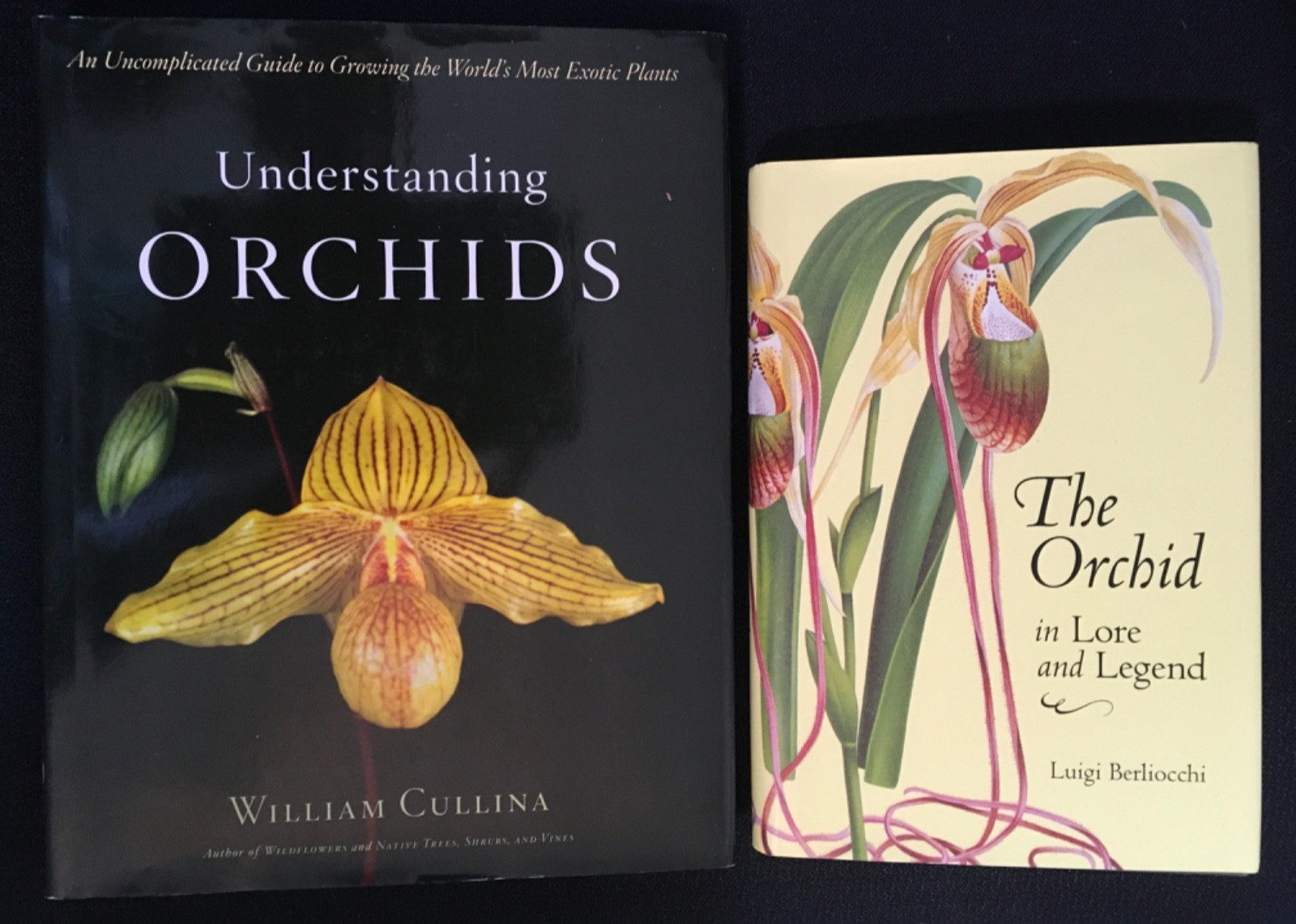 Lot UNDERSTANDING ORCHIDS Guide to Growing Exotic Flowers Plants CULLINA + LORE