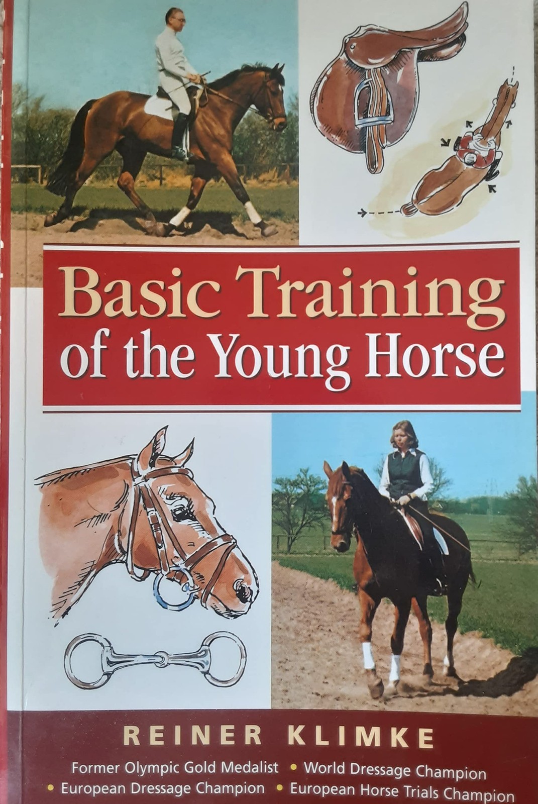 Basic Training of the Young Horse