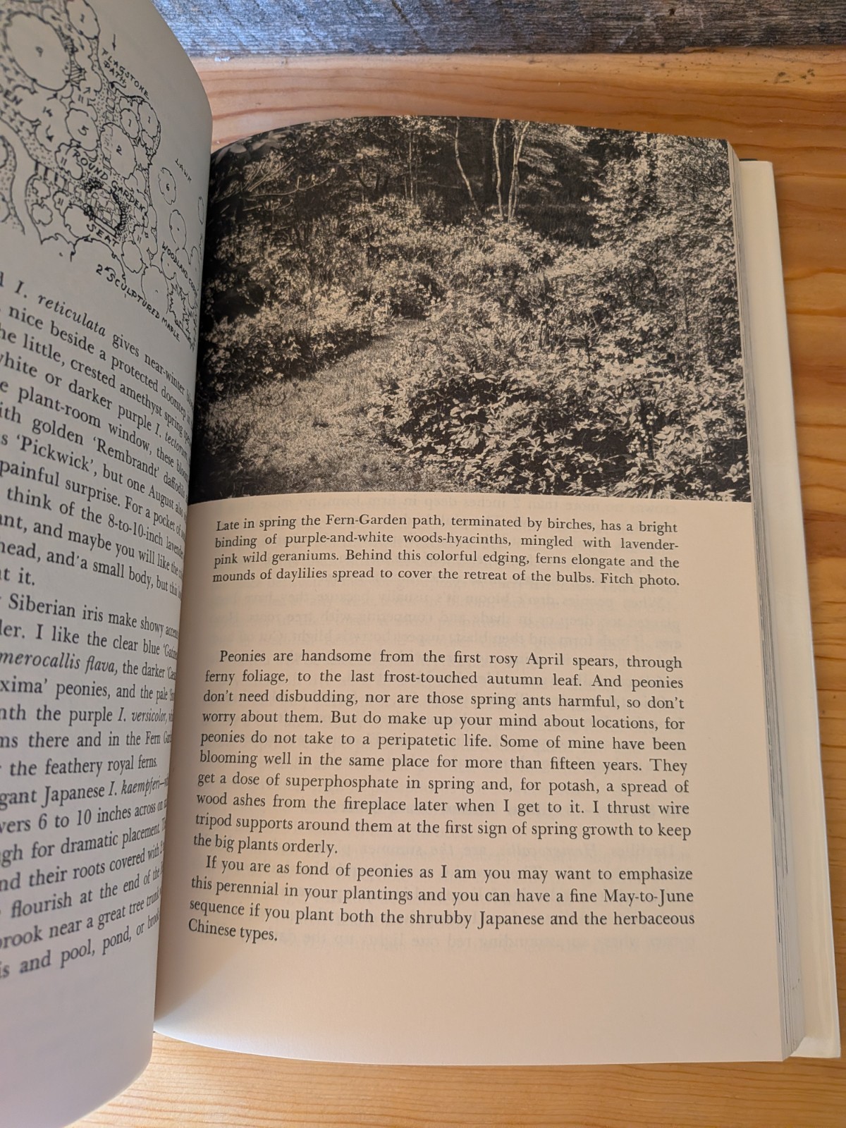 Helen Van Pelt Wilson’s Own Garden and Landscape Book 1973 HC DJ First Printing