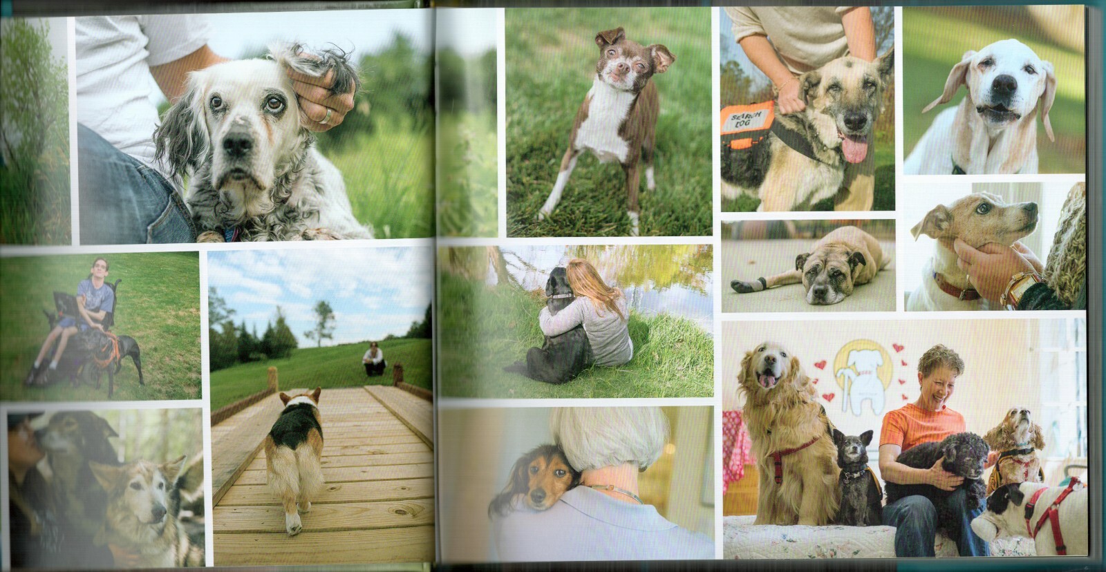 UNCONDITIONAL: Older Dogs, Deeper Love by Jane Sobel Klonsky, 2016, 208 pages