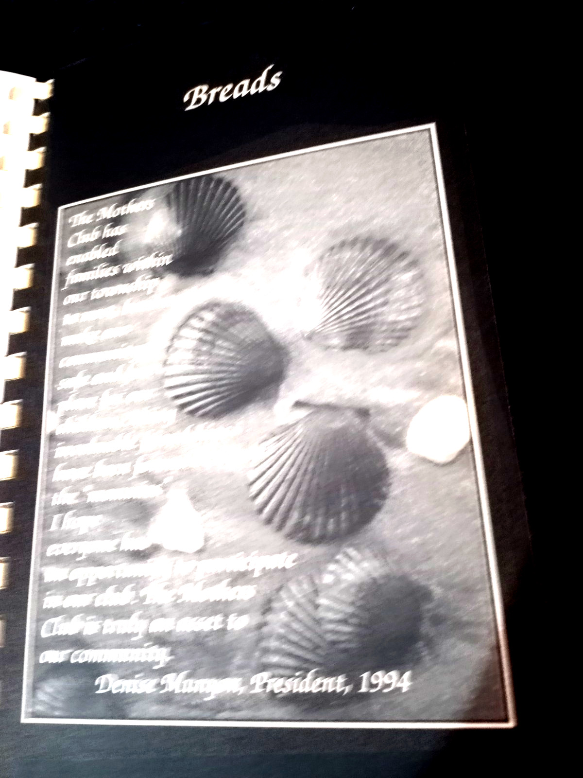 Vtg Seashore Sampler, A Delicipus Decade Cookbook 504 Pages