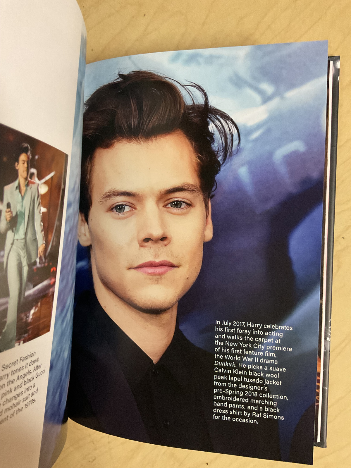 Harry Styles – Hardcover By Bilmes, Alex BRAND NEW 144 pages Retails $19.99