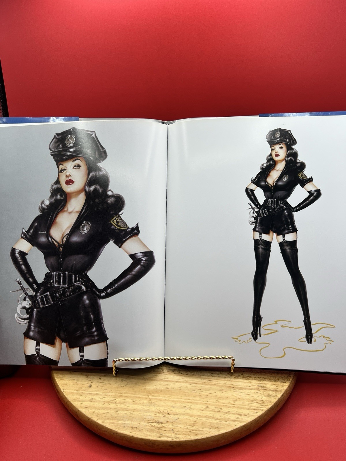 Bettie Page by Olivia 1st Edition Hardcover Art Book Olivia De Berardinis