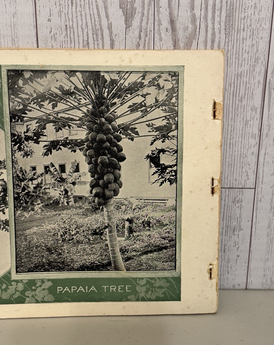 1899 THE HANDBOOK OF THE HAWAIIAN ISLANDS BY THE US. DEPT OF AFFAIRS HTF RARE