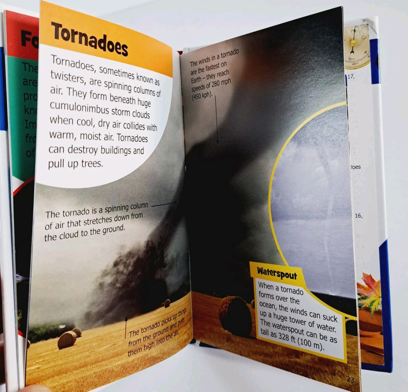 Dinos & Weather (Mini Encyclopedias) – Hardcover By Phillips, Sarah – GOOD