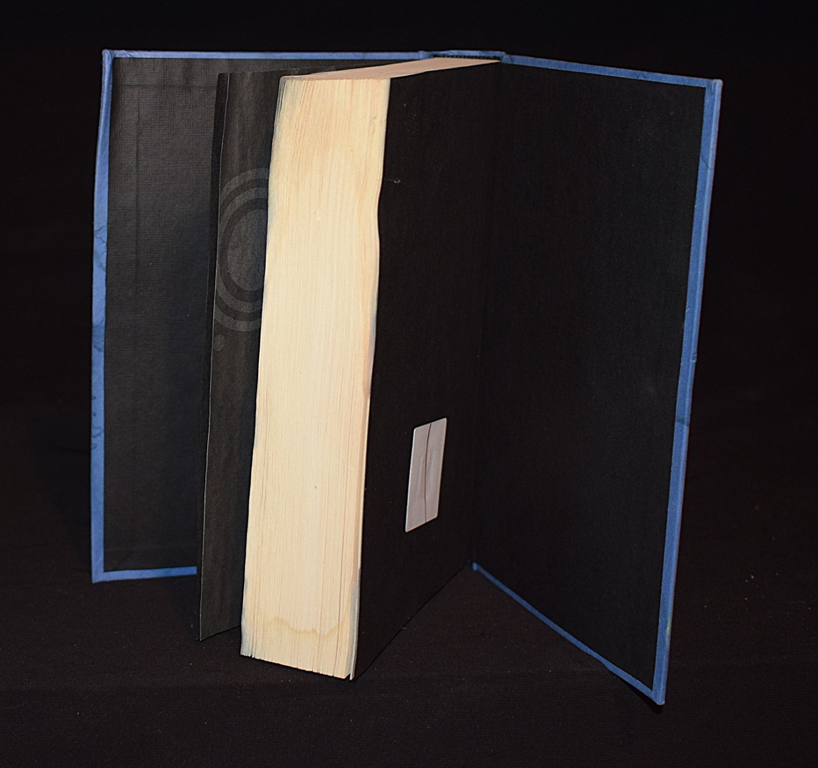 Mockingjay by Suzanne Collins [Book 3] ~ c 2010 ~ Pages 398 ~ Hardcover