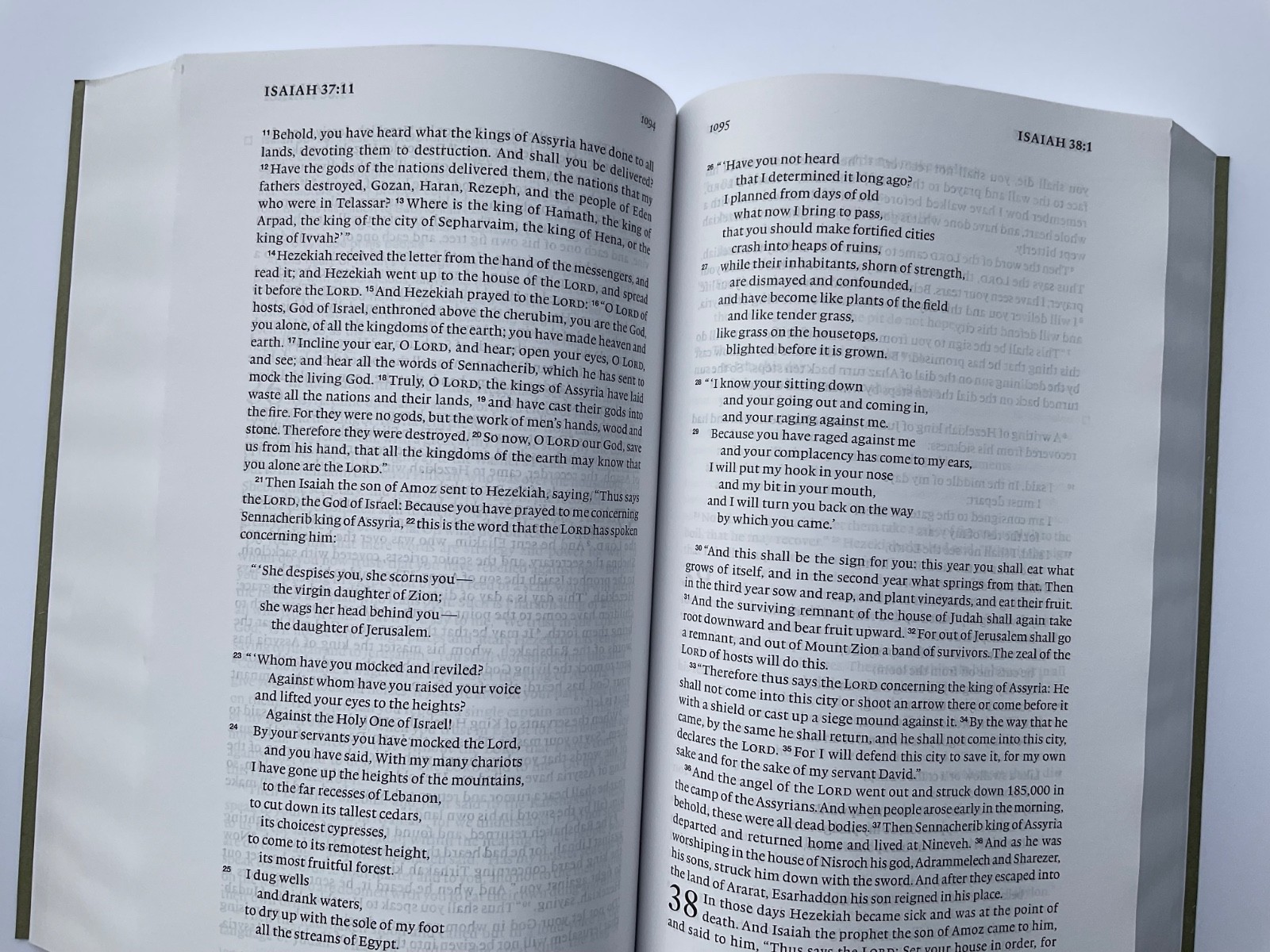 Bible ESV Daily Reading Green Gray Brand New