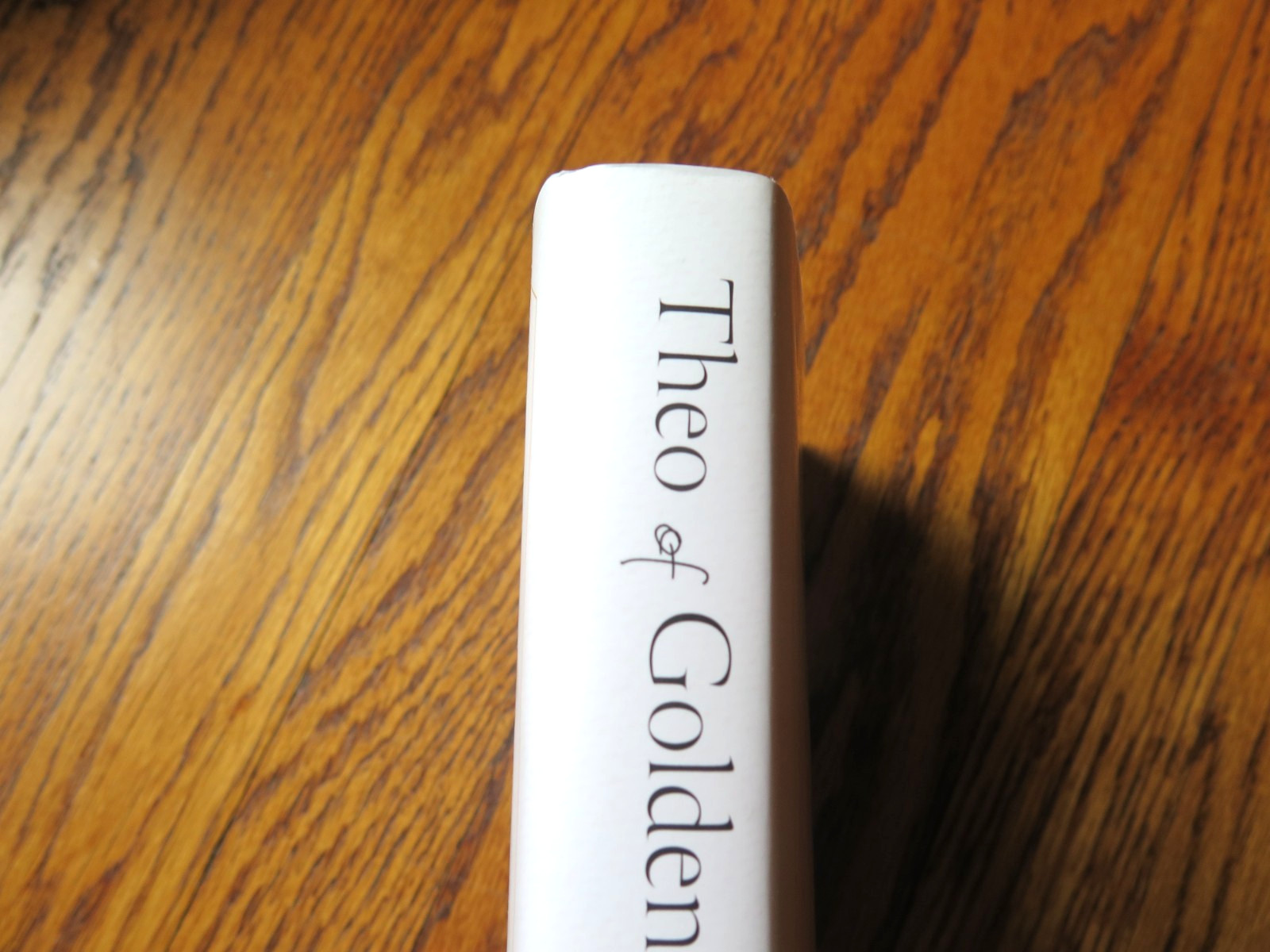 SIGNED by Allen Levi | Theo of Golden | 1st Edition, 6th Printing