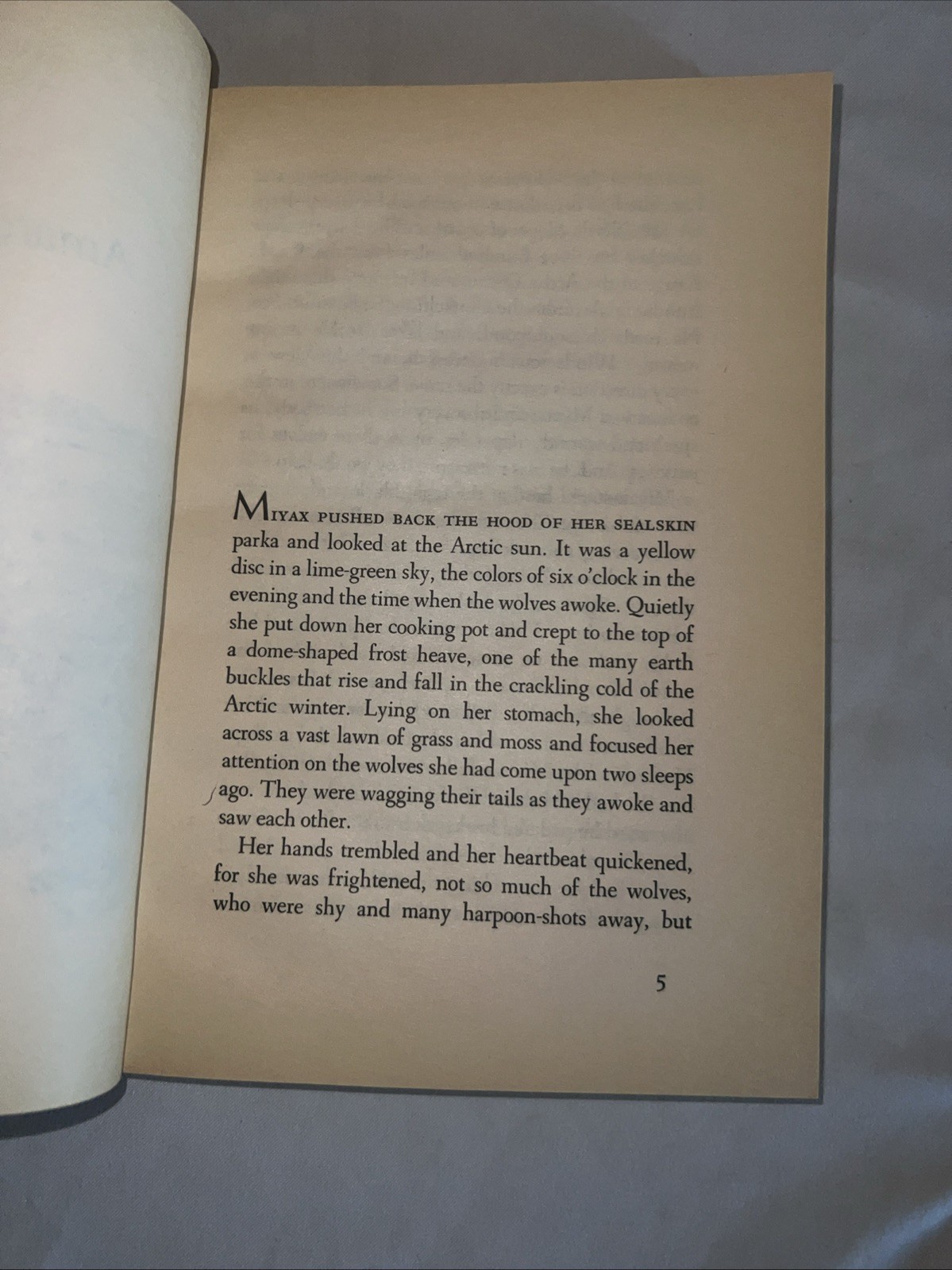 Julie Of The Wolves – George, Jean Craighead – Good – See condition notes