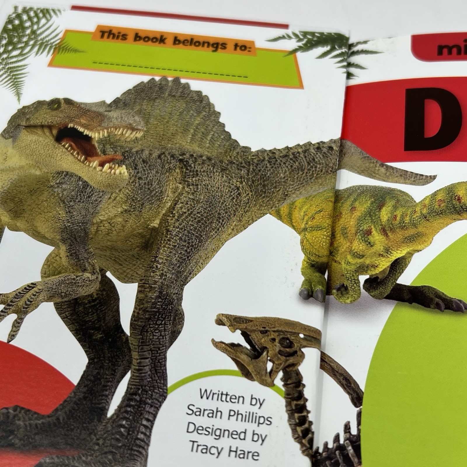 Children’s Mini Encyclopedia Lot of 2 Weather Dino’s New
