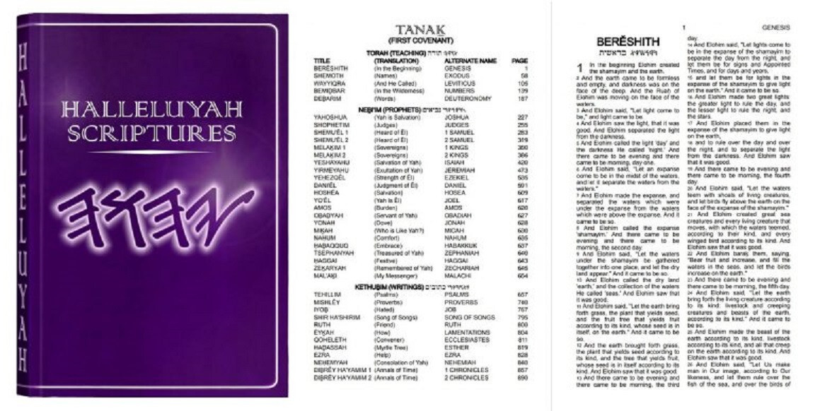 HALLELUYAH SCRIPTURES STANDARD BILE With Free Book & Free Shipping