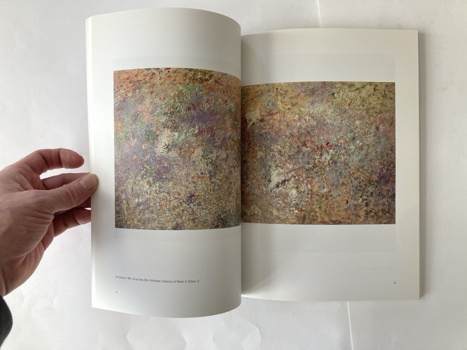 Pat Passlof – Selections 1948-2011 (softbound catalog, good condition)