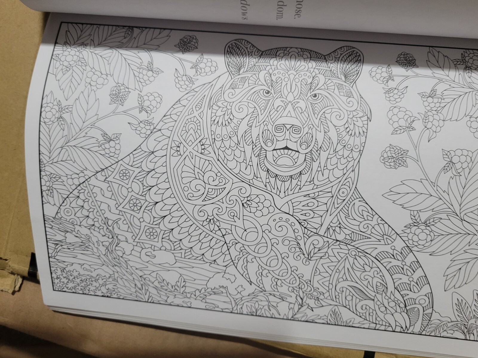 COLORFUL ESCAPES – The colors of Nature! Vol. 26 -Adult Coloring Book – 31 Pages