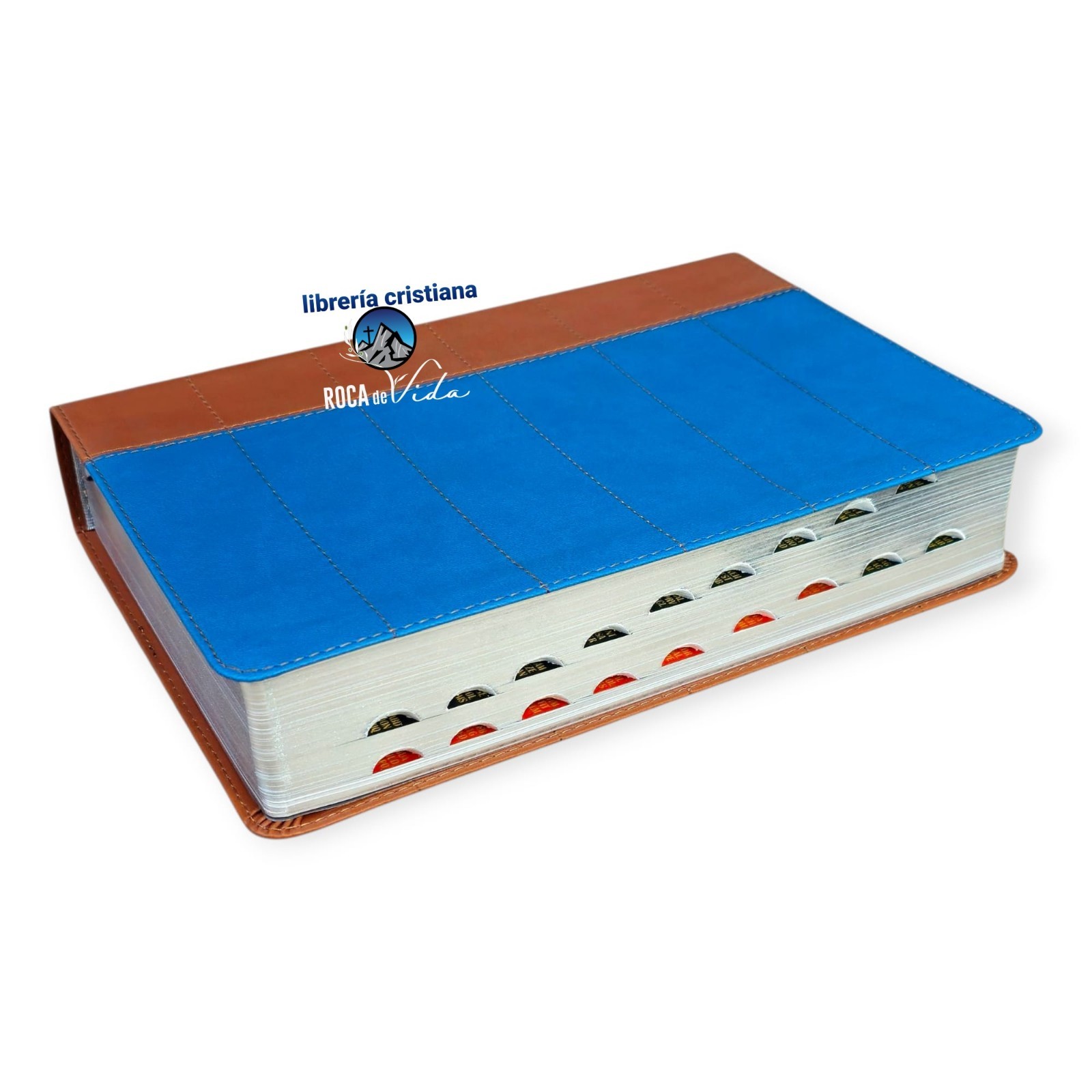 BIBLIA DE ESTUDIO THOMPSON EDICIÓN ESPECIAL RVR 1960 AZUL/ CAFE CON ÍNDICE
