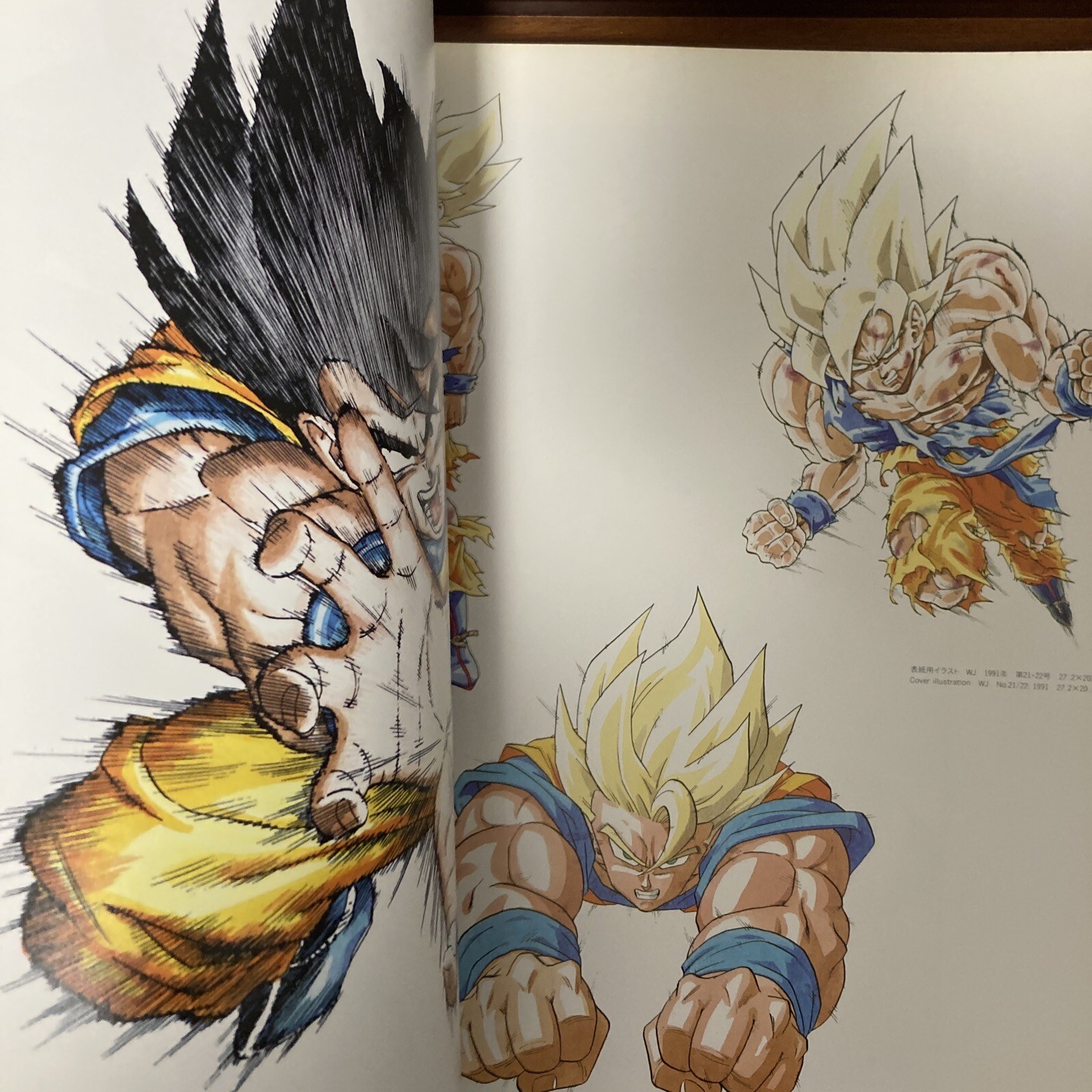 Akira Toriyama Exhibition Art Book 1993 ver. Dragon Ball Illustration