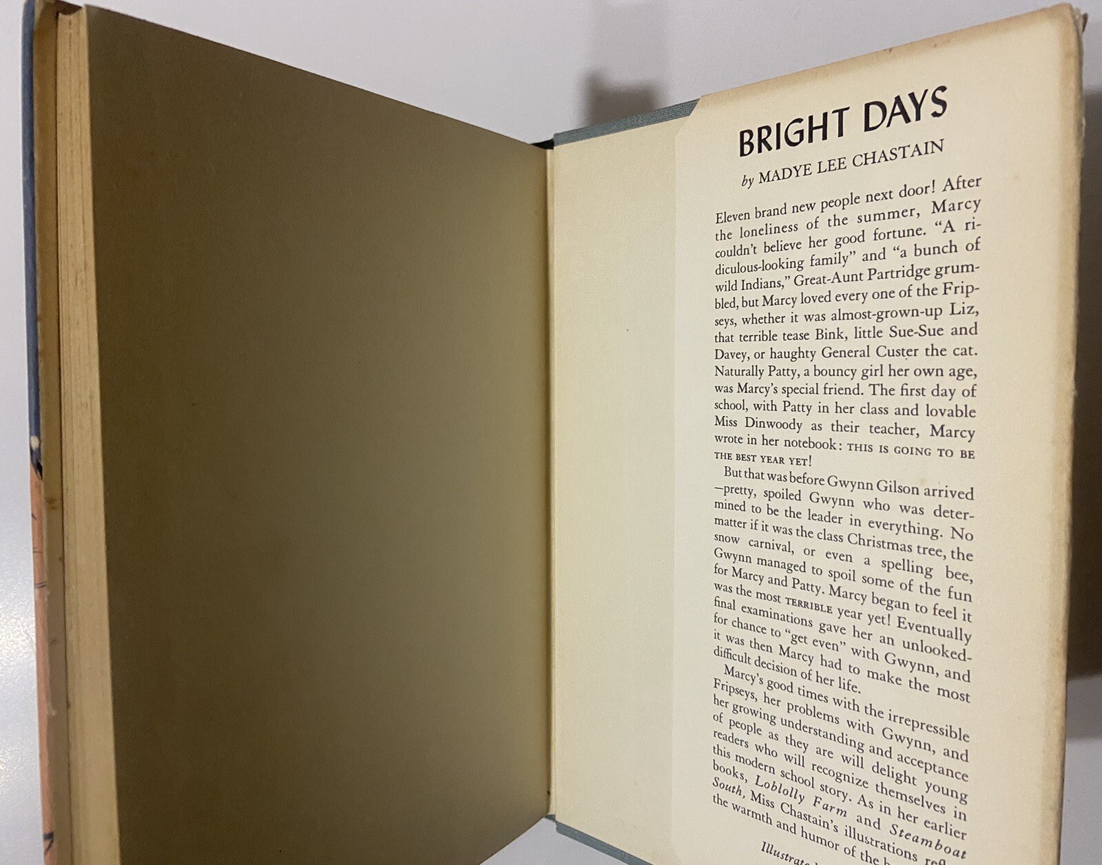 Fripsey Summer by Madye Lee Chastain (1953 1st Hardcover)