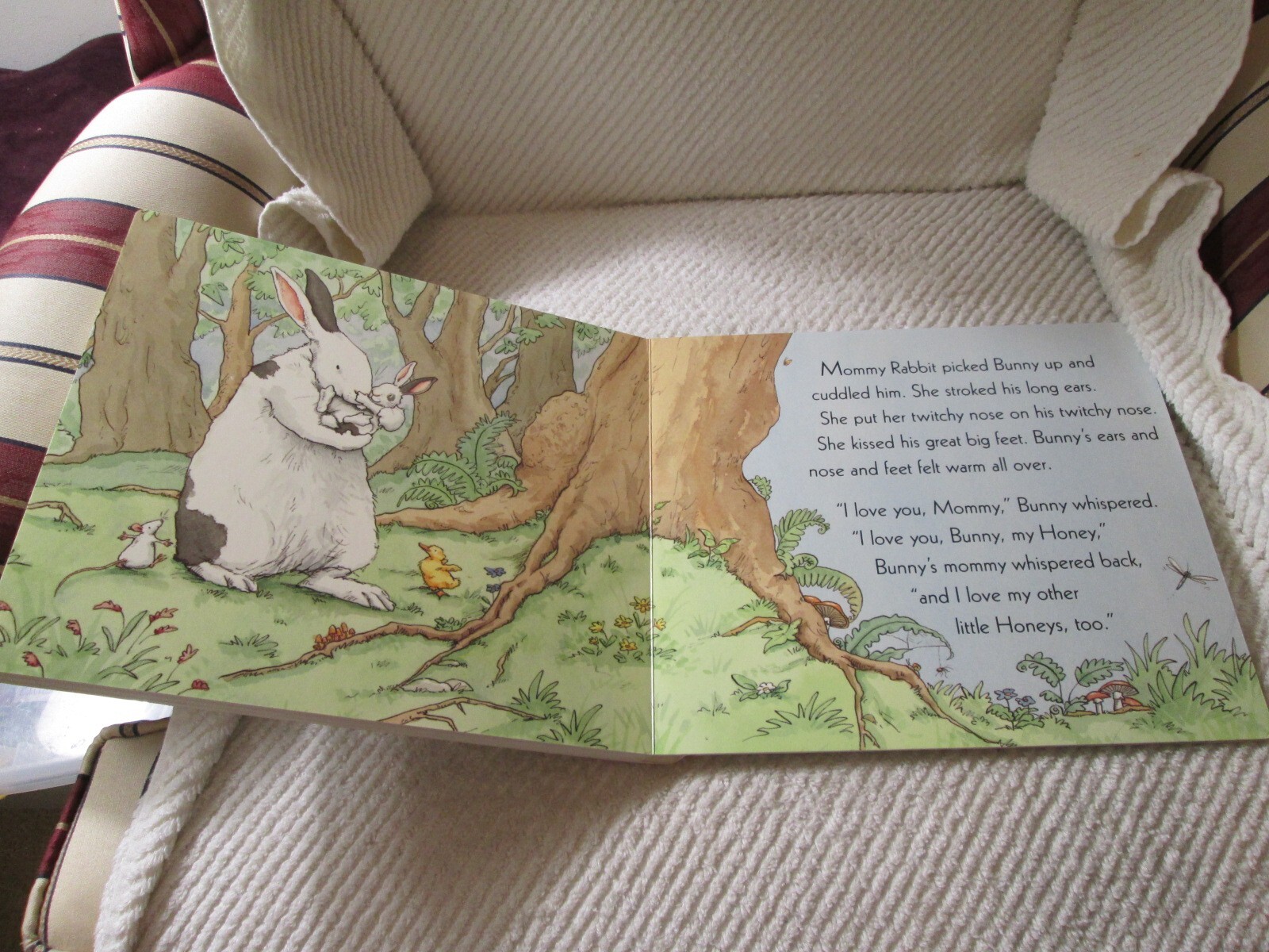 Bunny My Honey by Anita Jeram Big Board Book (9.25 x 10.5 inches)