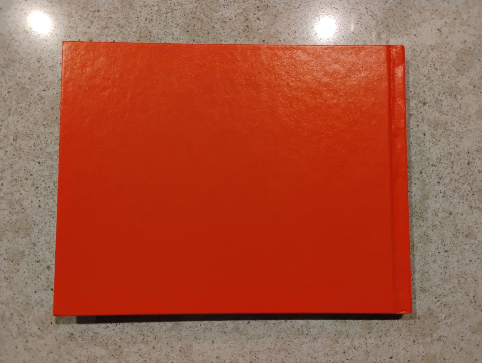 First Edition First Printing 1979 The Fabulous Firebird: Michael Lamm Hardcover
