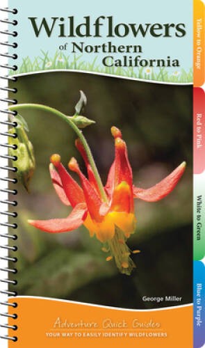 Wildflowers of Northern California (Adventure Quick Guides) – GOOD
