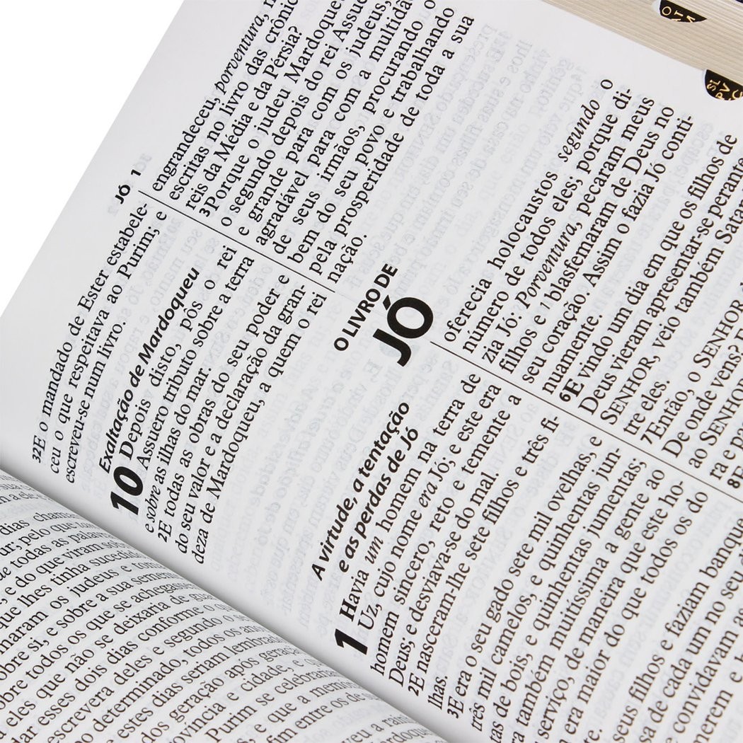Biblia Sagrada: ARC – Capa: Flexivel em Couro – Letra: Gigante (Portugues)