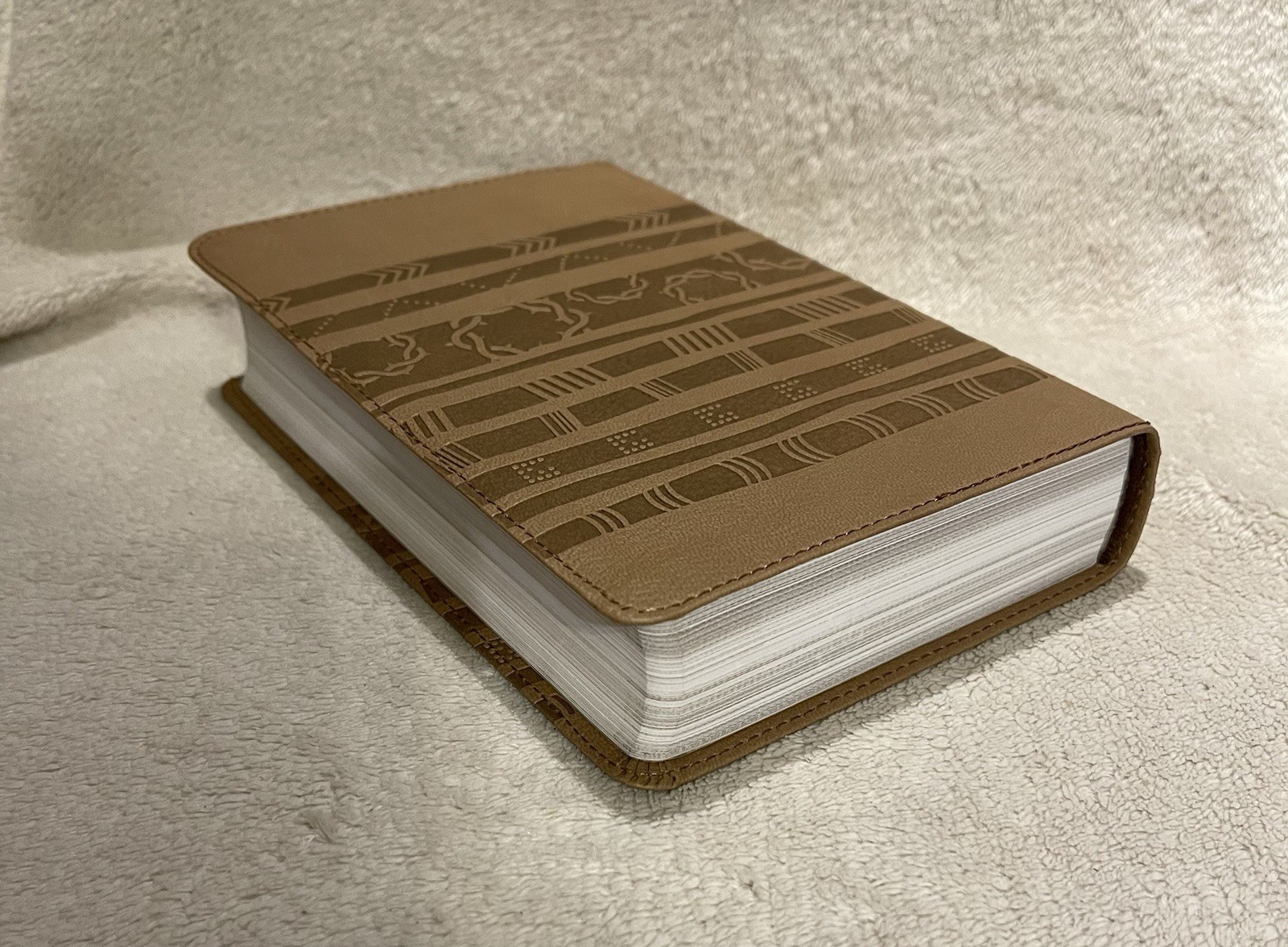 HCSB Essential Teen Study Bible- Aztec by B&H Kids