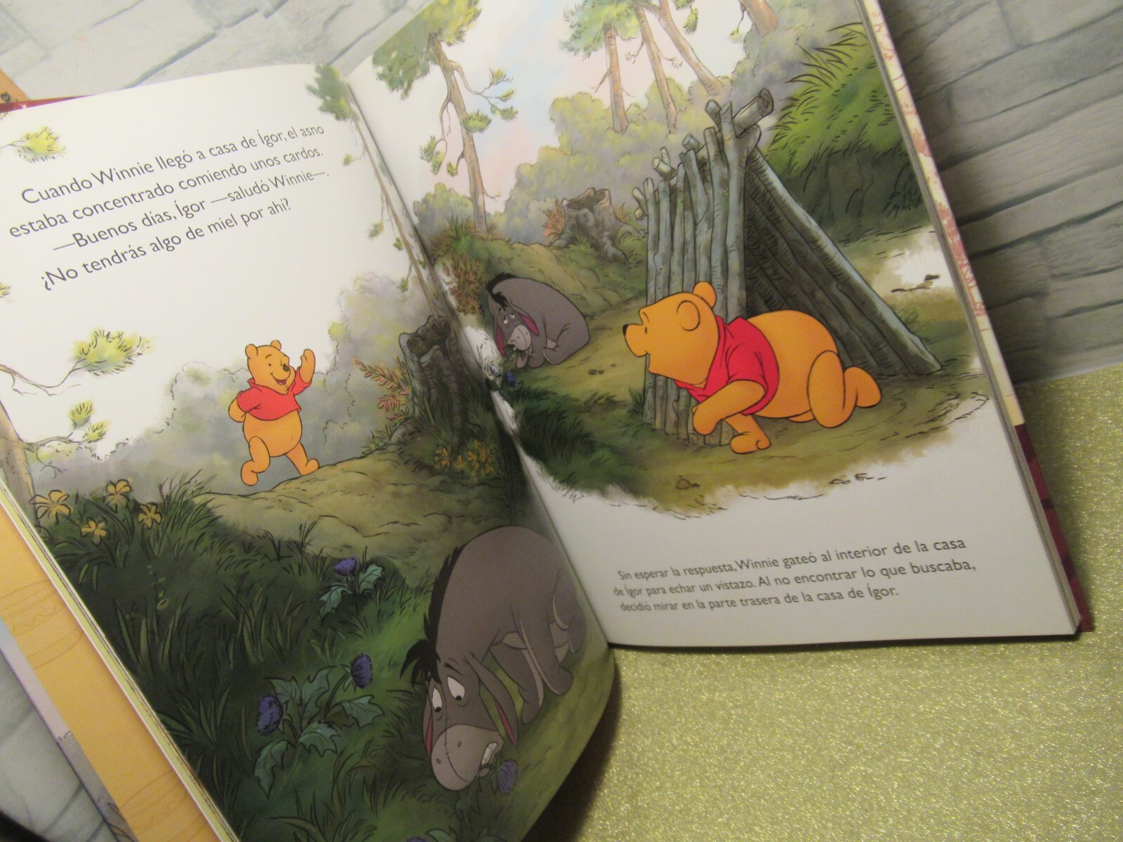 Disney Winie the Pooh /Coleccion GRAN LIBRO DE LA PELICULA/ Hardcover /