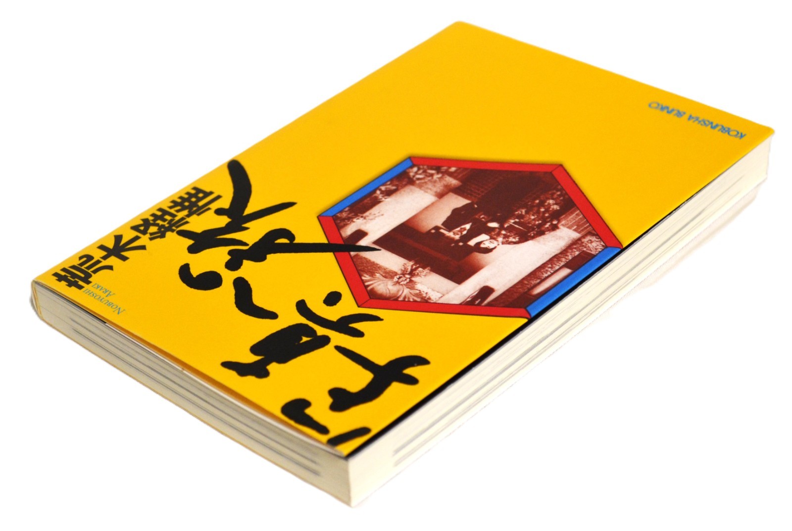 Nobuyoshi Arak Journey to Photography Essay and Art Mini Book 15.2×10.5cm P209