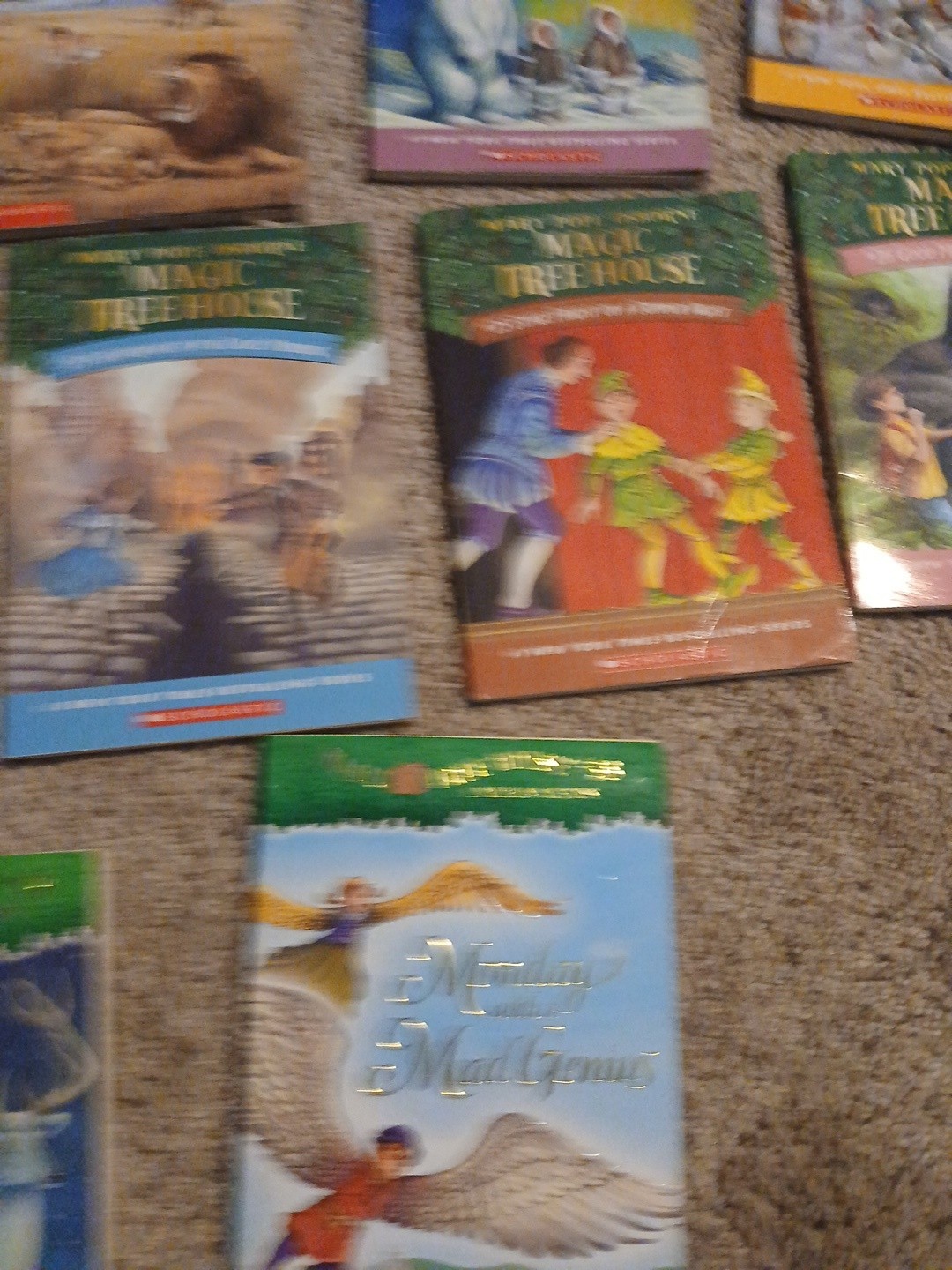 Lot of 17 Magic Tree House Books Mary Pope Osborne Childrens