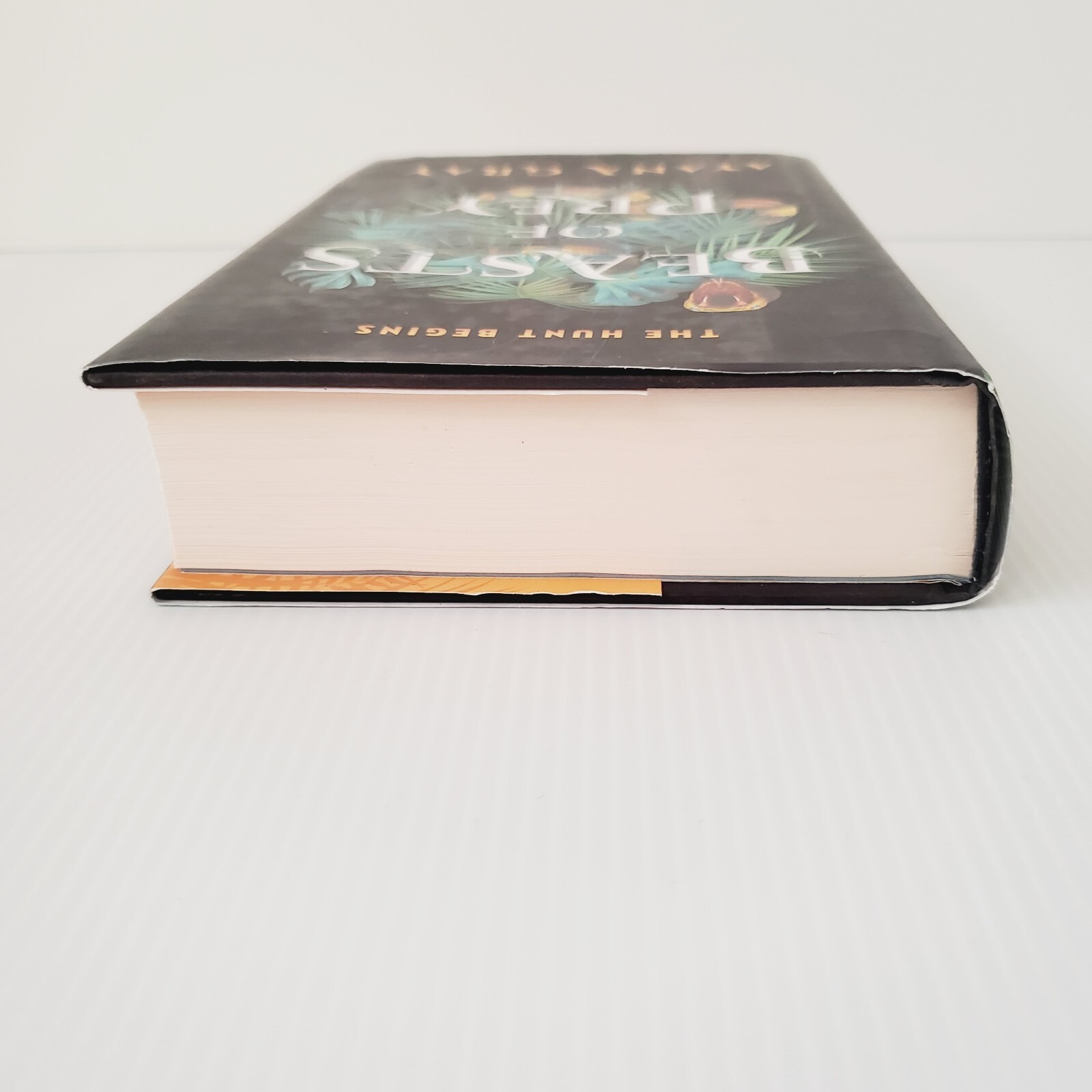 Beasts of Prey Hardcover Book By Ayana Gray Fantasy Fiction Novel