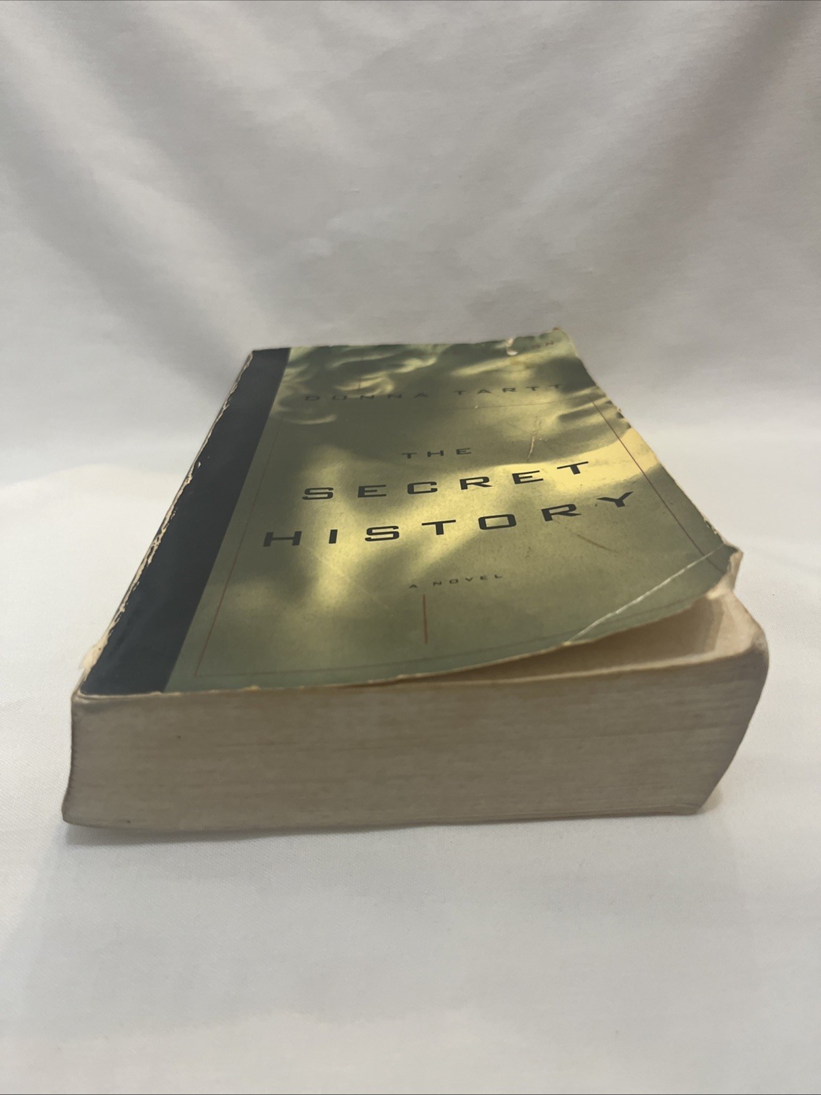 Vtg ADVANCED READERS EDITION The Secret History, Donna Tartt, Knopf 1992 PB RARE