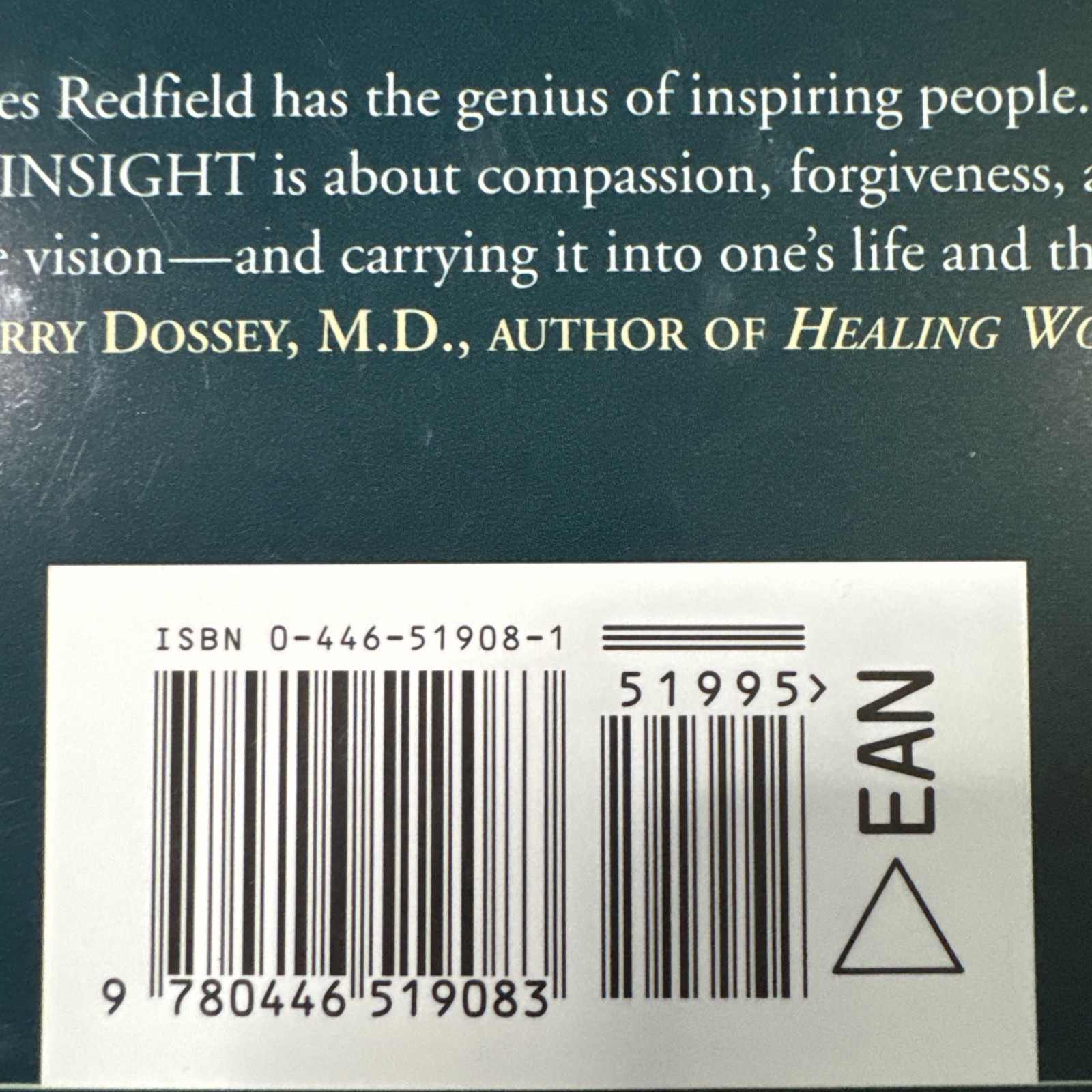 The Tenth Insight: Holding The Vision James Redfield 1st Edition/1st Print HCDJ