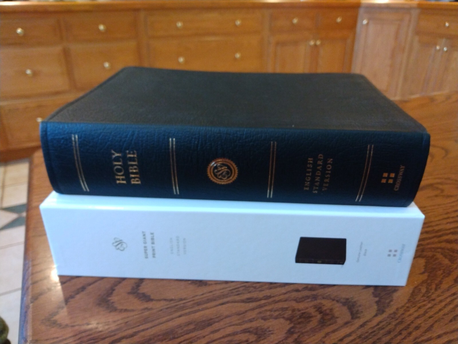 ESV SUPER GIANT Print Bible Black genuine leather ©2001~ 17 point font