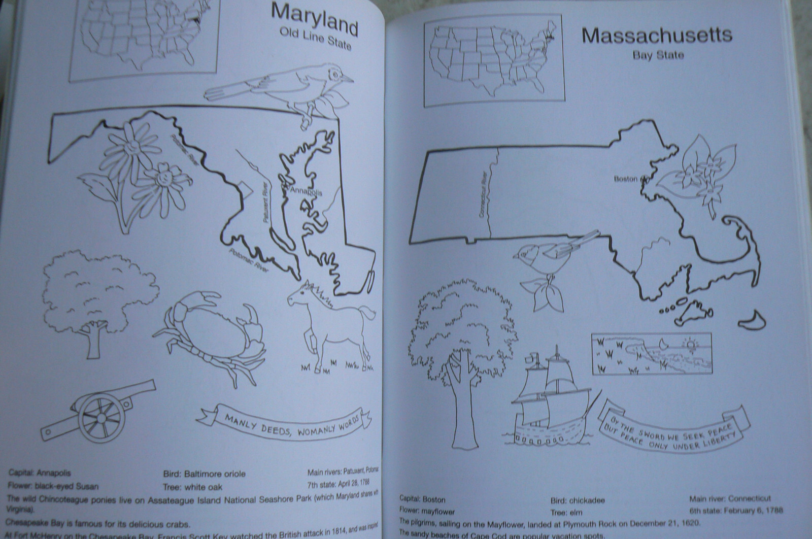 United States Coloring Book, Winky Adam, Dover NEW! 1998