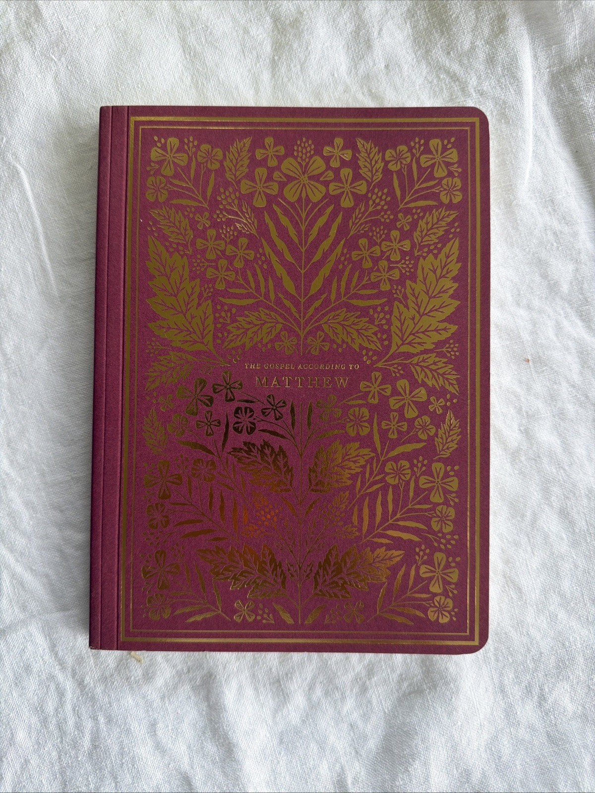 ESV Illuminated Scripture Journal: Matthew by ESV Bibles Paperback NEW