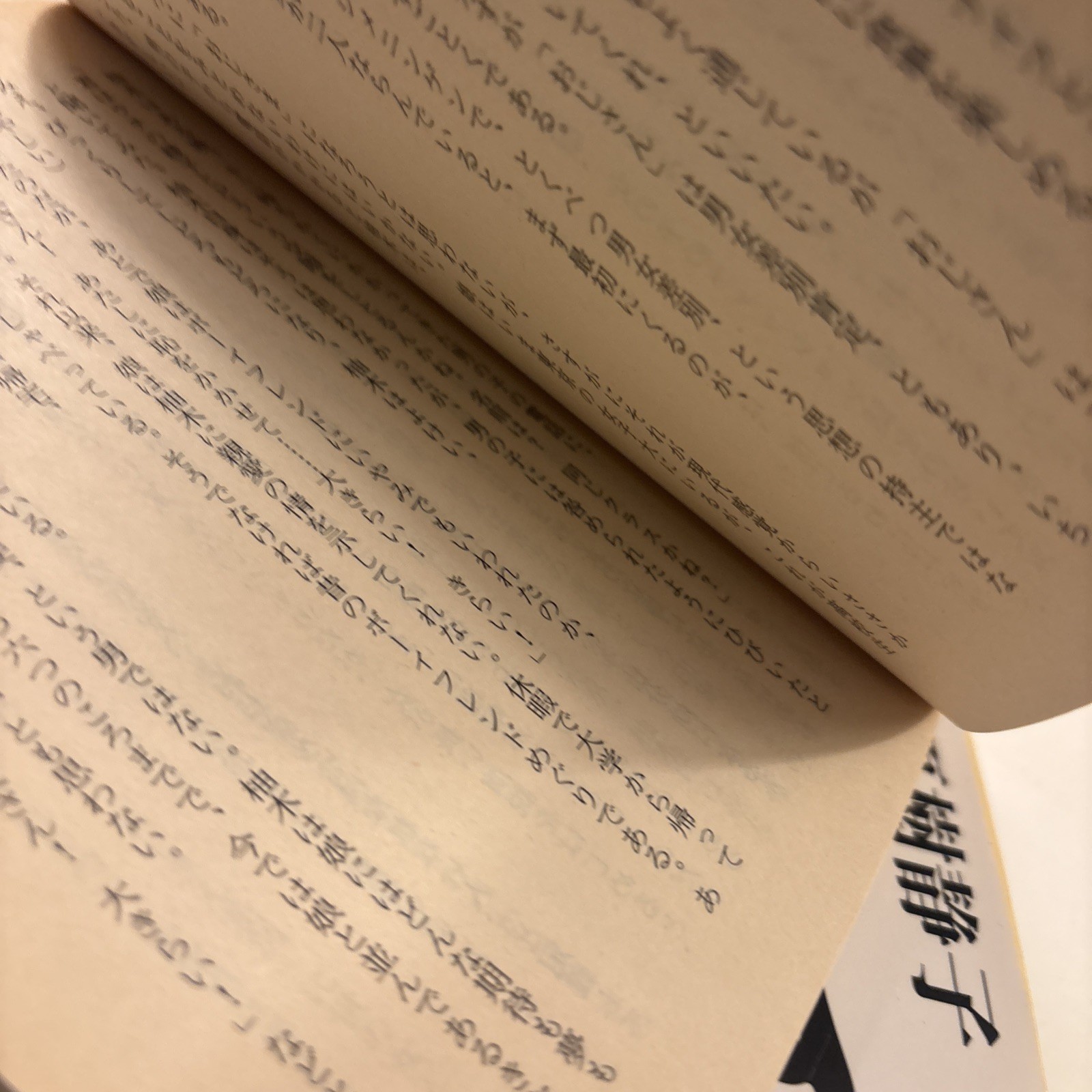 Lot of 4 Japanese Paperback Novels Books Novels Variety Of Authors ( Bk1