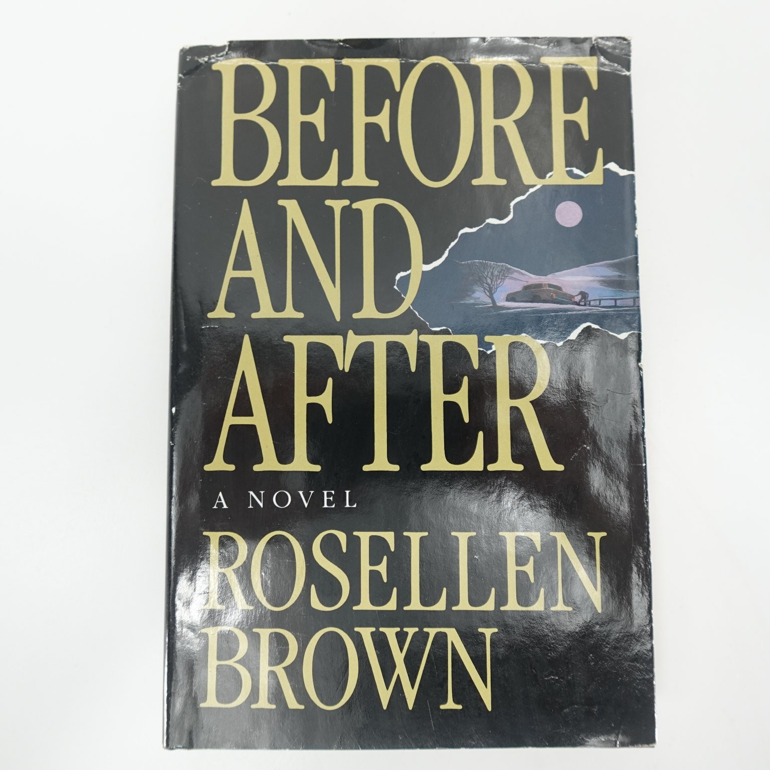 Before and After Rosellen Brown 1992 First Edition Novel Farrar Straus Giroux