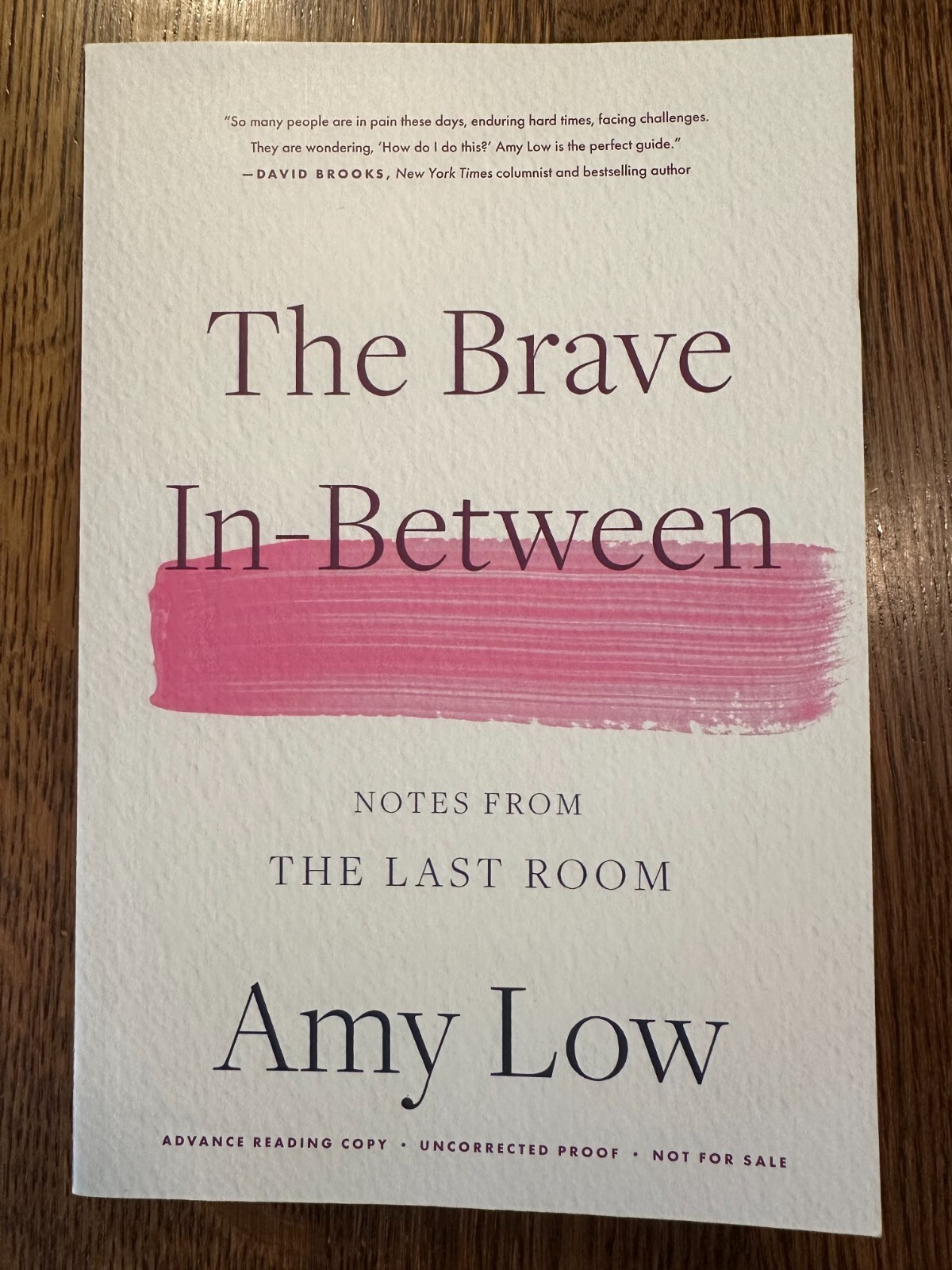 ARC The Brave In-Between by Amy Low (2024, Paperback) FIRST EDITION PROOF VG