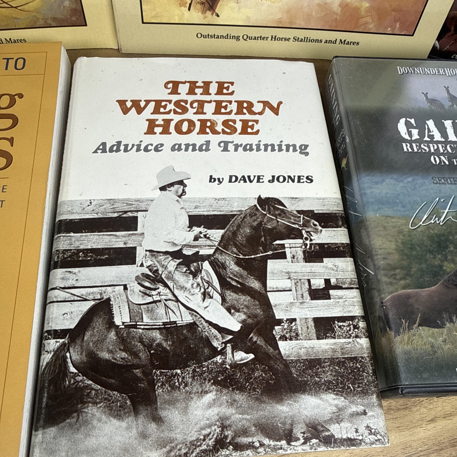 Lot HORSE EQUINE Literature Equestrian Books And Dvds