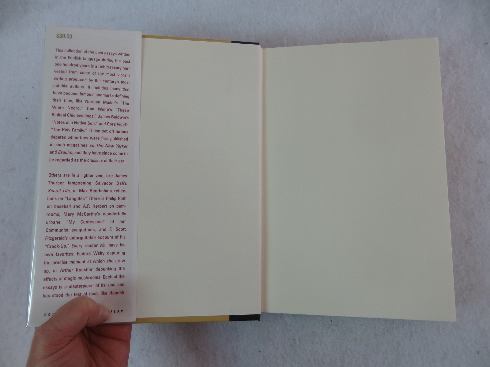 THE BOOK OF 20th CENTURY ESSAYS Ian Hamilton Fromm International 1999 HC/DJ