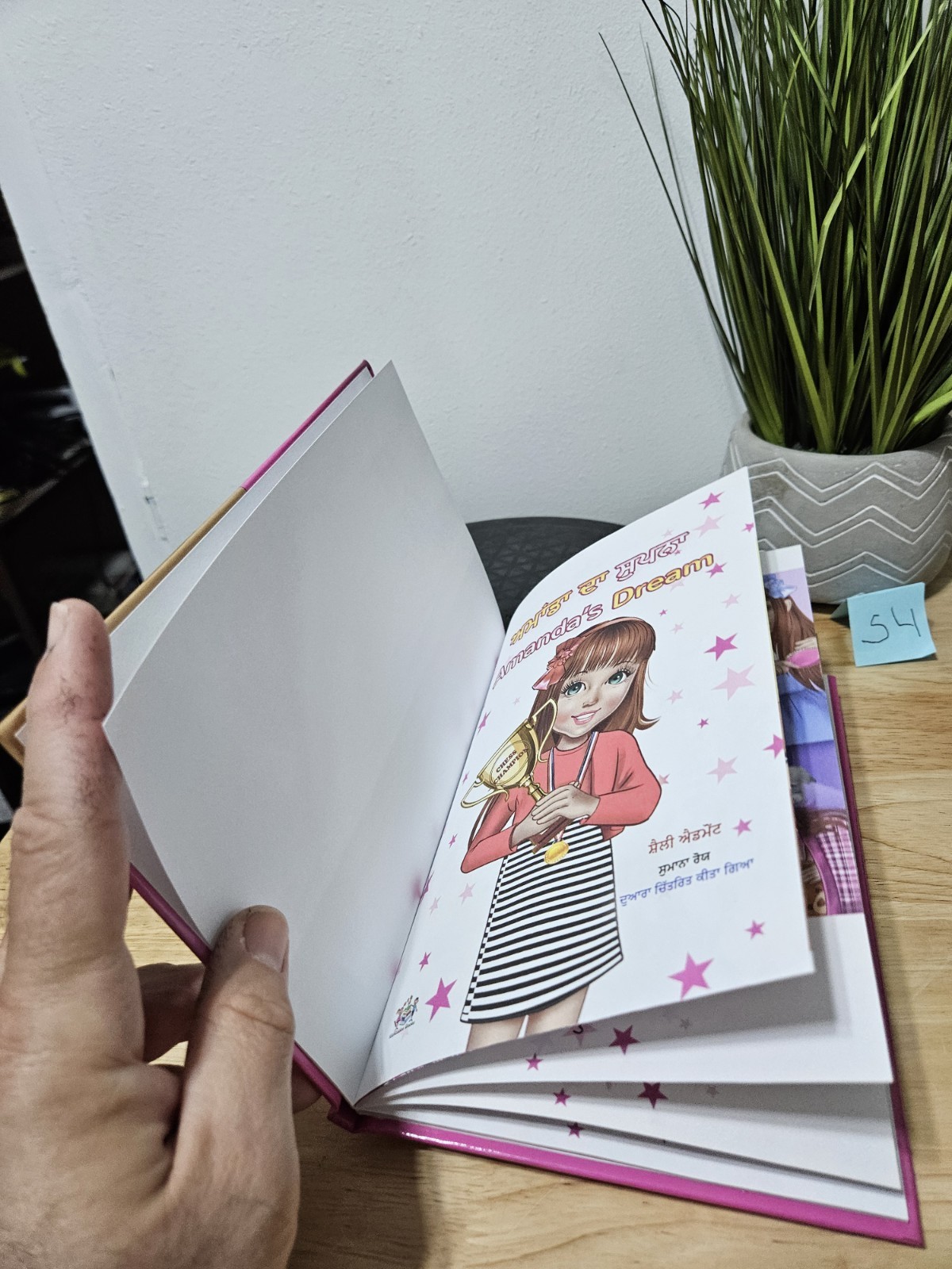 Amanda’s Dream (Punjabi English Bilingual Kids‘ Book – Gurmukhi) Hardcover