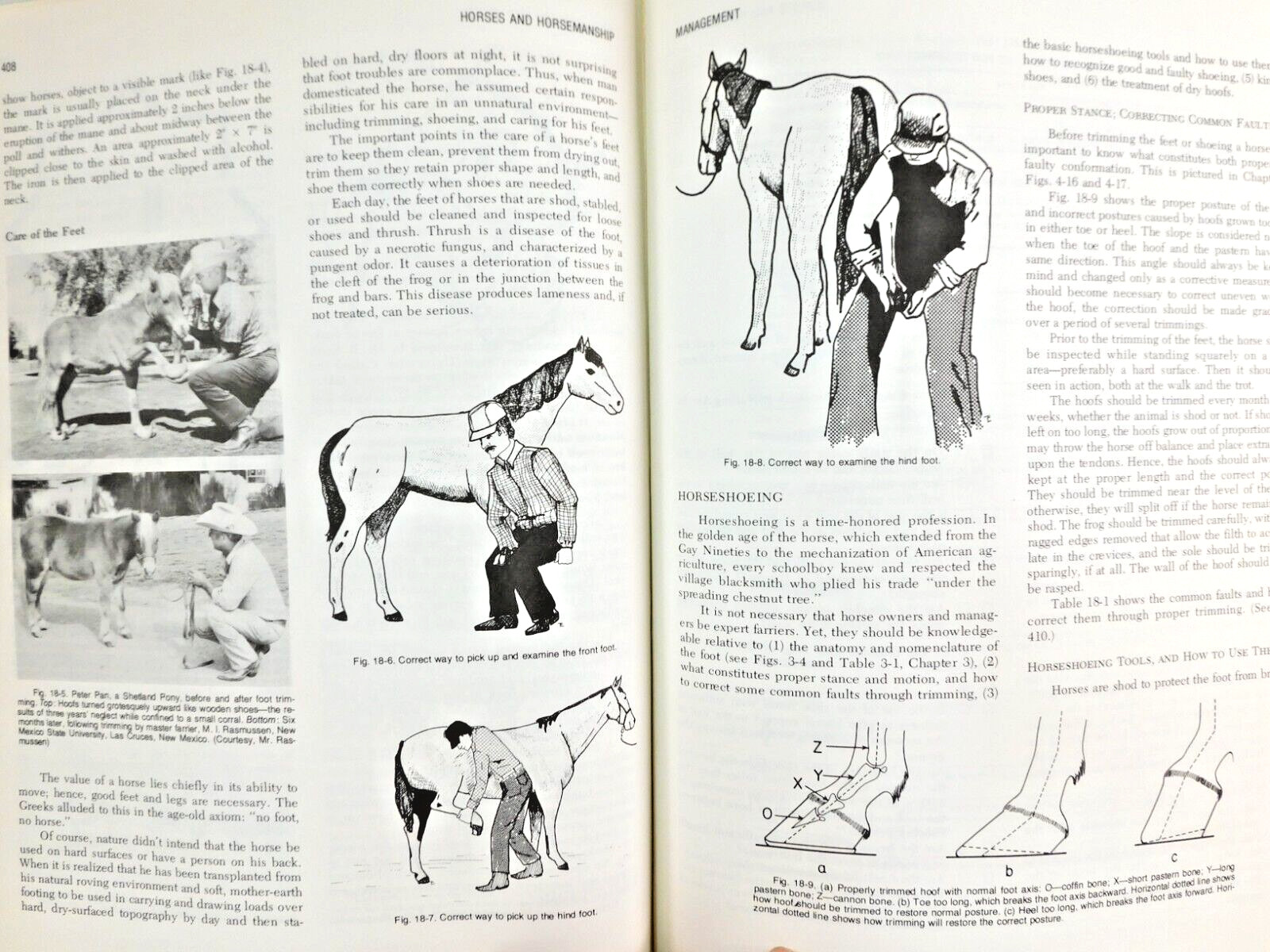 Horsemanship and Riding Horses Equestrian Riding 1977 Illus HC by M E Ensminger