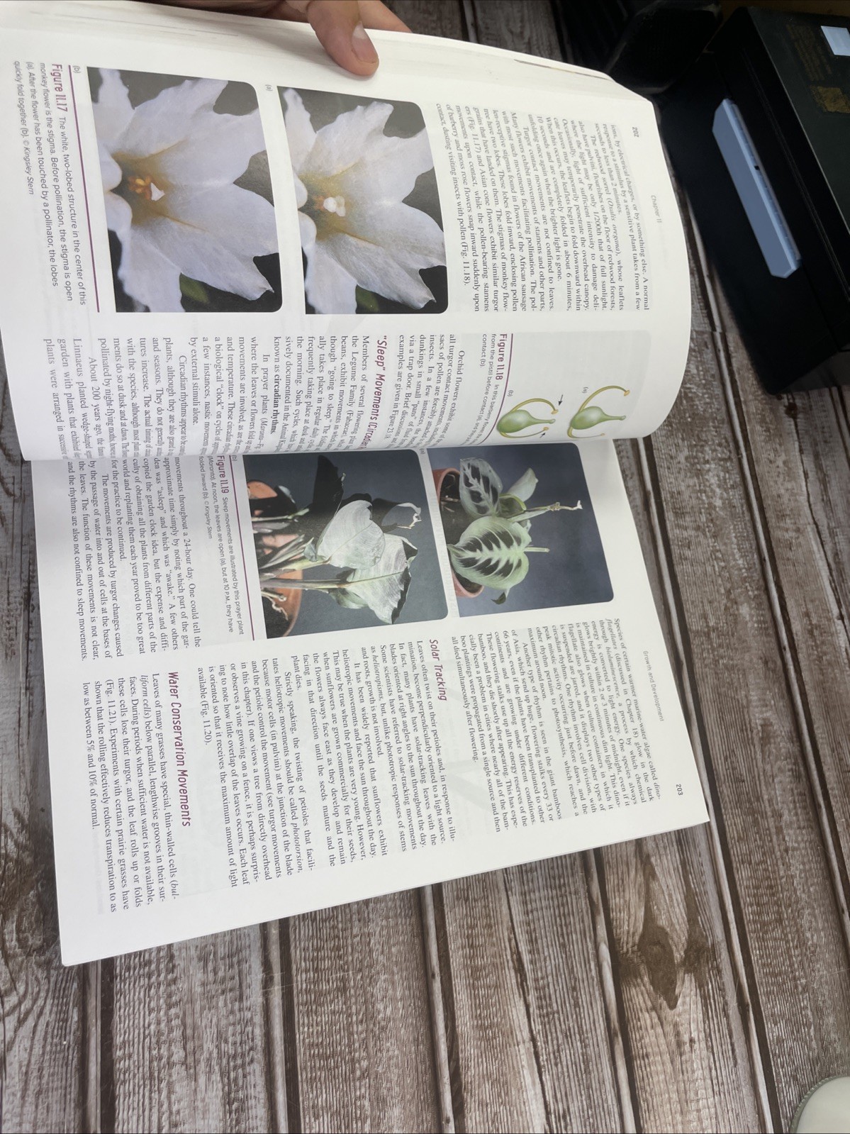 ISE Stern’s Introductory Plant Biology ISE HED BOTANY, ZOOLOGY, ECOLOGY 15e
