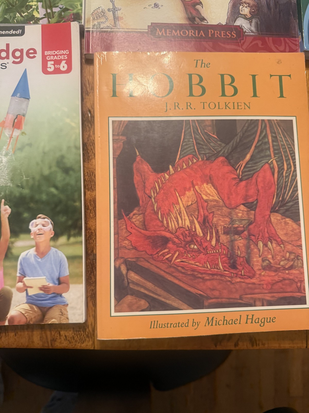 lot of 16 homeschooling books kp16