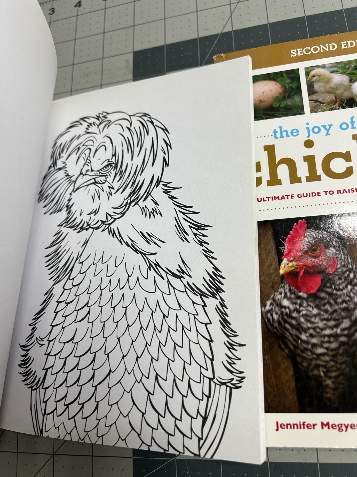 3-pack The Joy of Keeping Chickens Guide Jennifer Megyesi coloring book journal