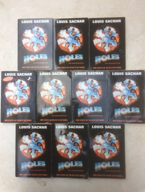 HOLES Class Set Louis Sachar Newbery Guided Reading lot of 10