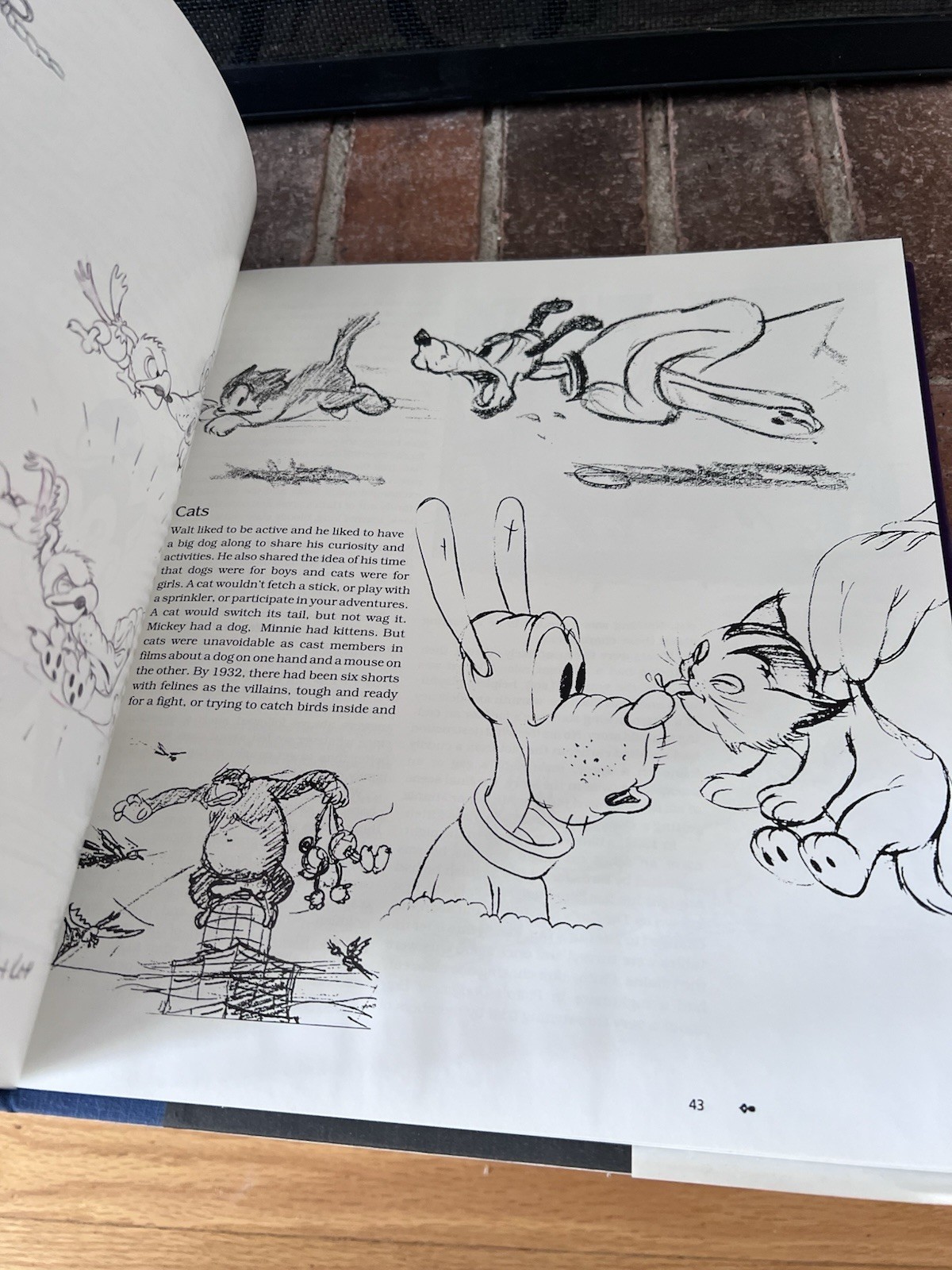 Disney Villain Signed Ollie Johnston Frank Thomas 1993 Hardcover 1 Book Rare