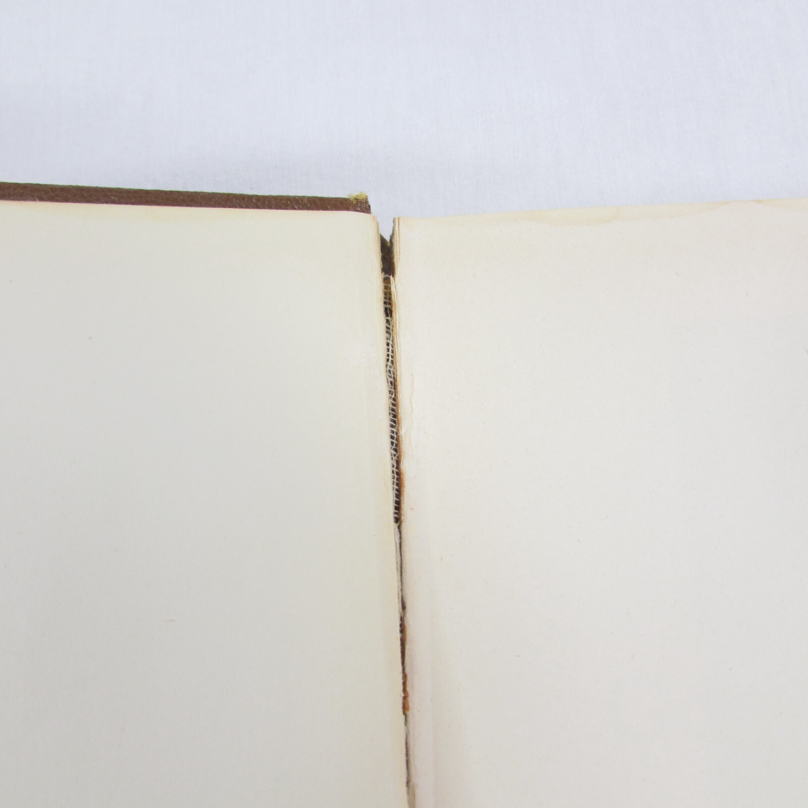 Dispensational Truth or God’s Plan & Purpose in the Ages Clarence Larkin 1920 HB